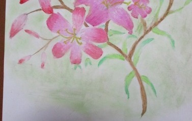 IMG_2427_Easy-Resize.com