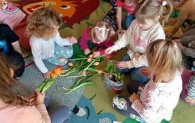 434072482_122153266880040612_6890414765583073545_n