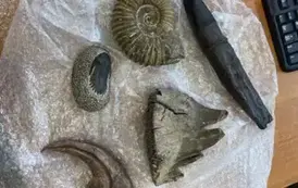 499597469_122220807218040612_6695347808536532177_n